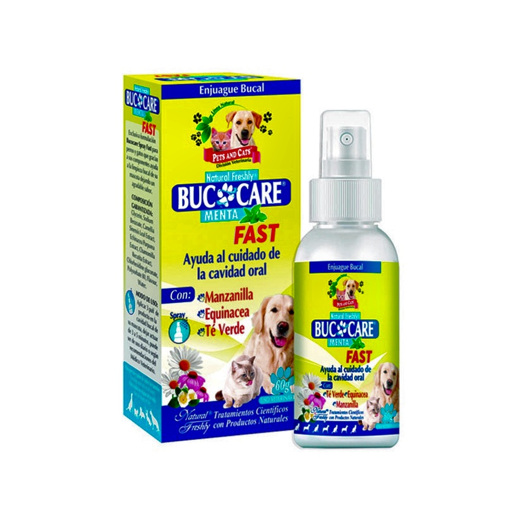 P &amp; C BUCOCARE SPRAY FAST MENTA ENJUAGUE BUCAL x 60 g UNIDAD