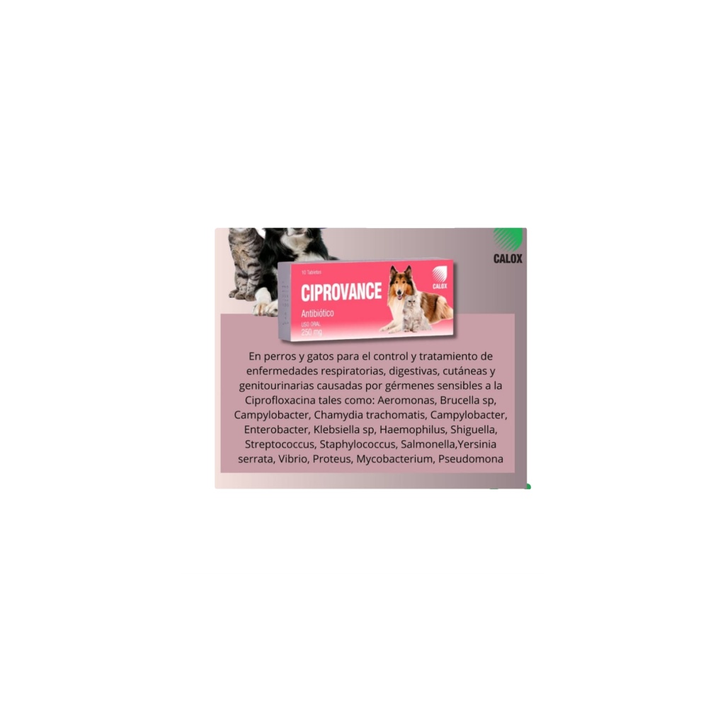 CIPROVANCE CALOX TABLETA X 10 UND