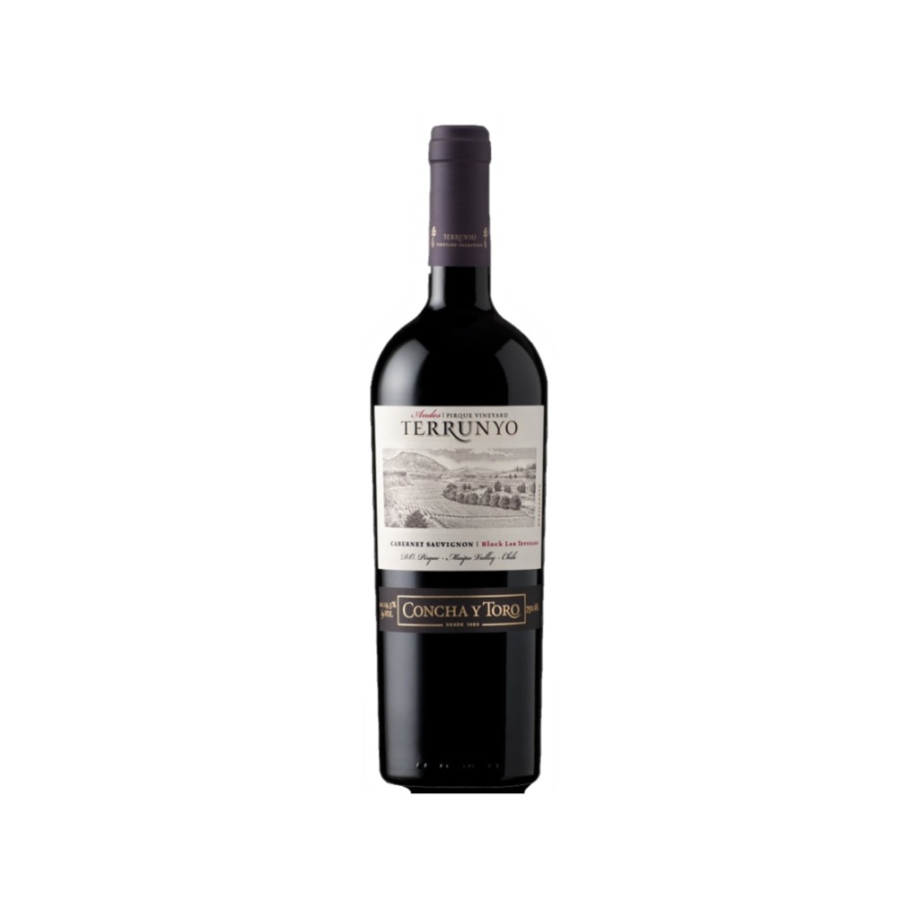 VINO TERRUNYO CABERNET x 750 cc
