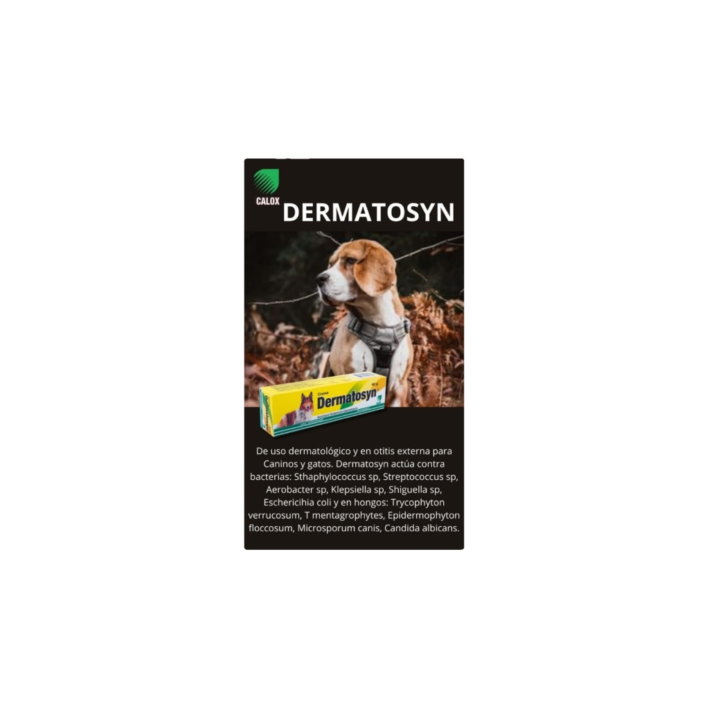 DERMATOSYN CALOX  TUBO X 40 g