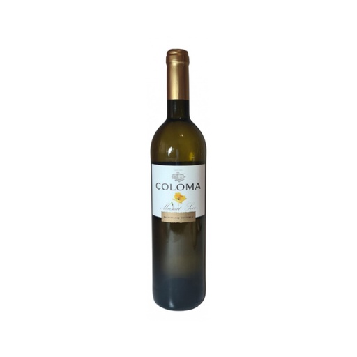 VINO MUSCAT BLANCO SECO MARCA COLOMA x 750 cc